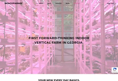 Screenshot of spacefarms.ge