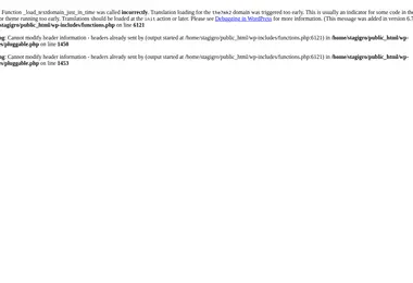Screenshot of stagigroup.ge