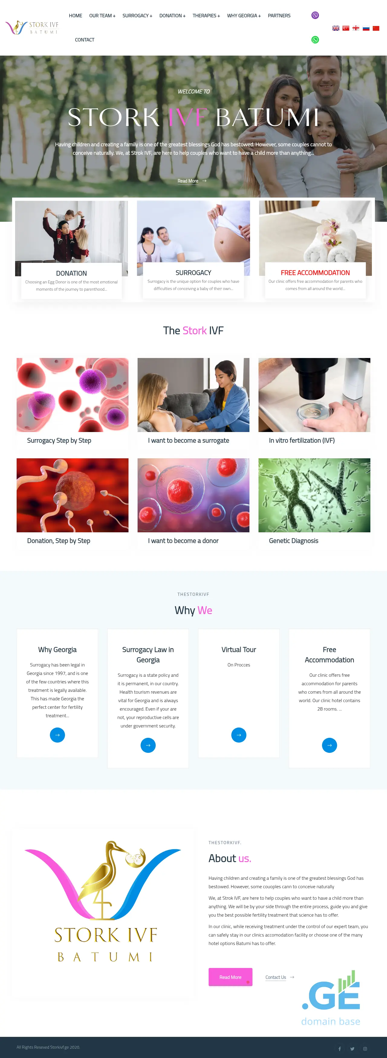 Screenshot of the site storkivf.ge