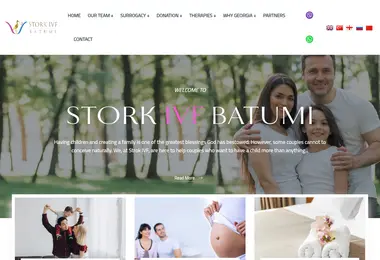 Screenshot of storkivf.ge