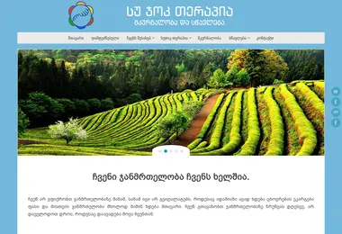 Screenshot of sujoktherapy.ge