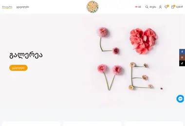 Screenshot of sunflower.ge
