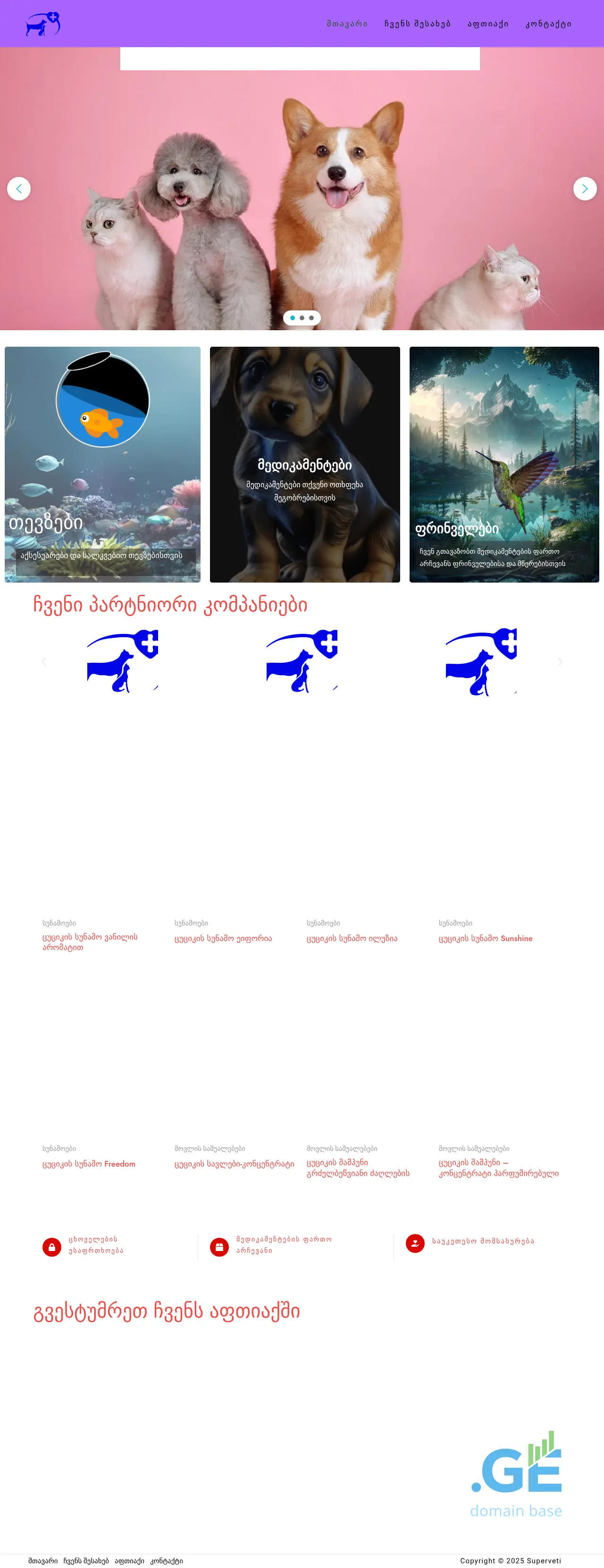 Screenshot of the site superveti.ge