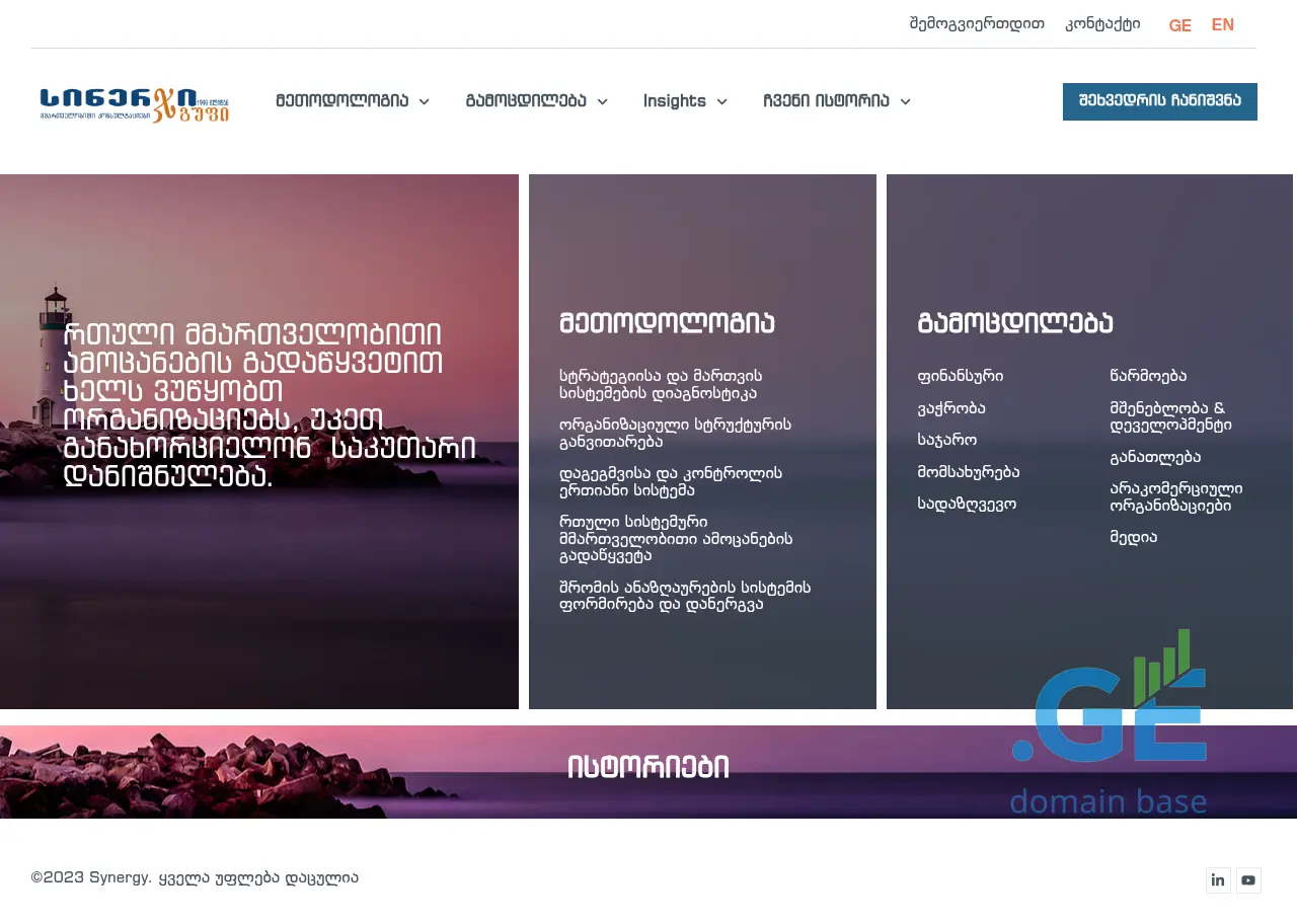 Screenshot of the site synergy.ge