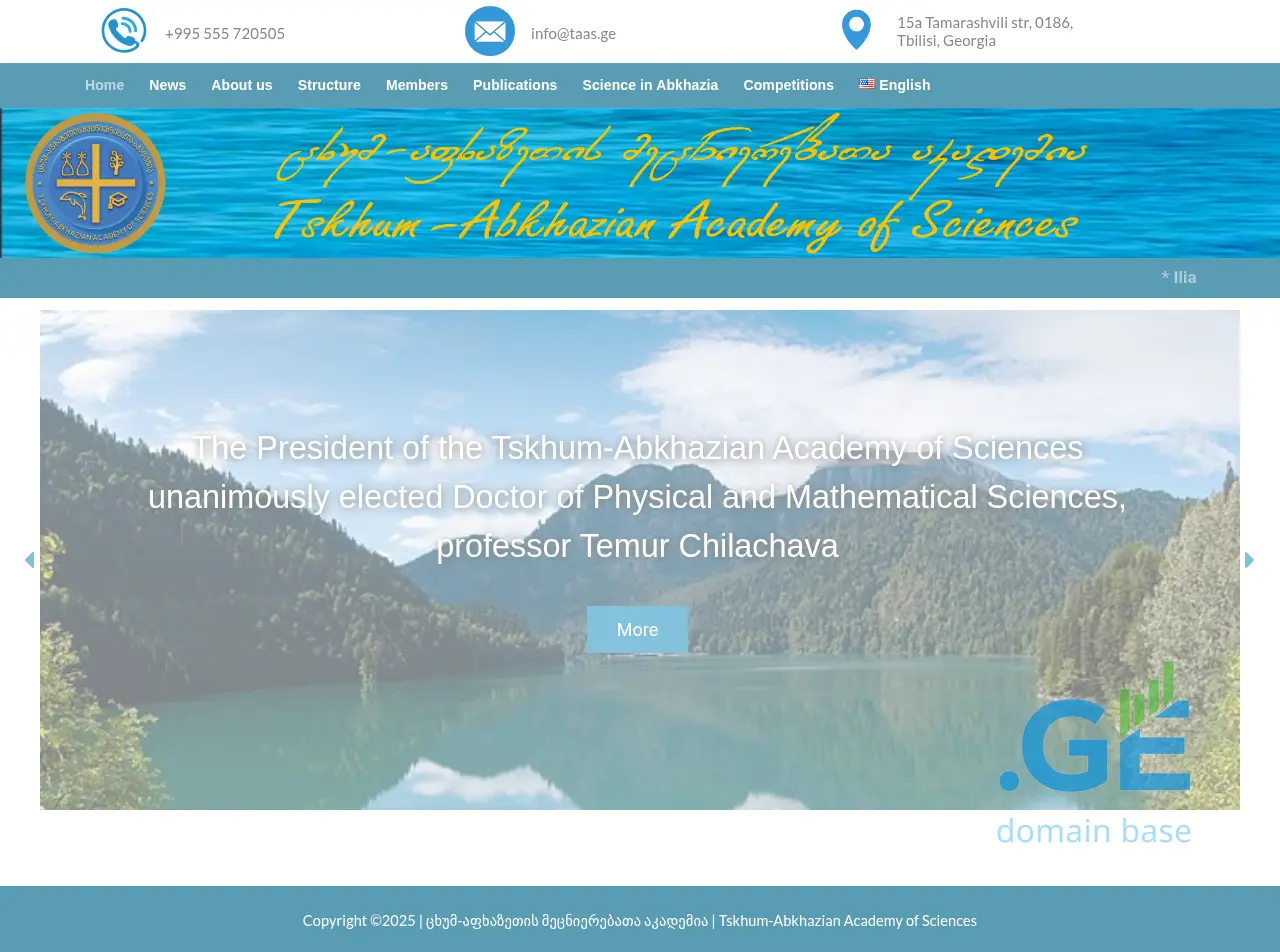 Screenshot of the site taas.ge
