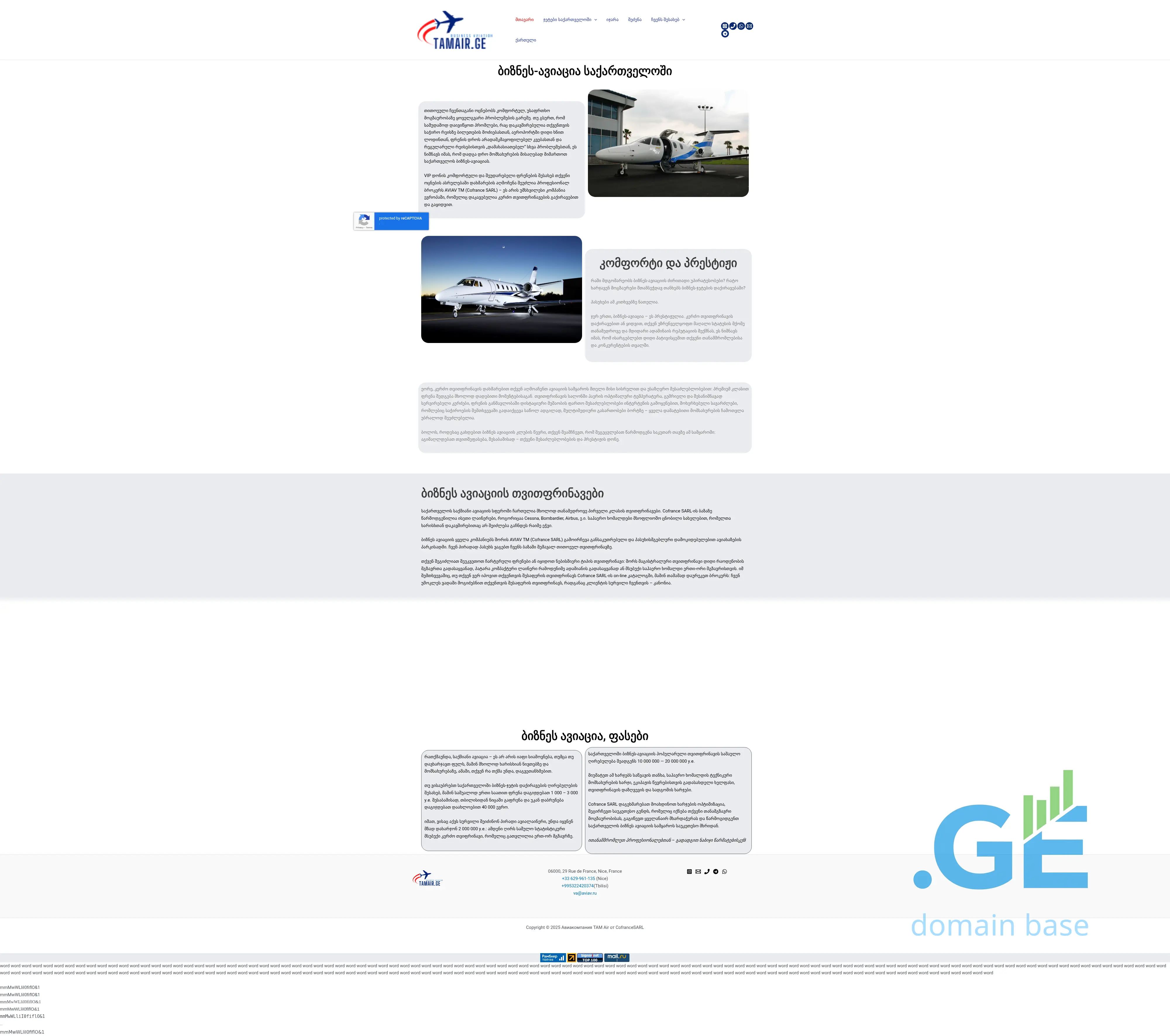 Screenshot of the site tamair.ge