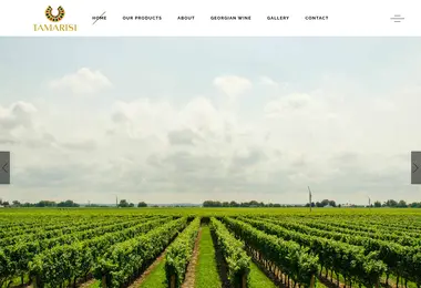 Screenshot of tamarisiwine.ge
