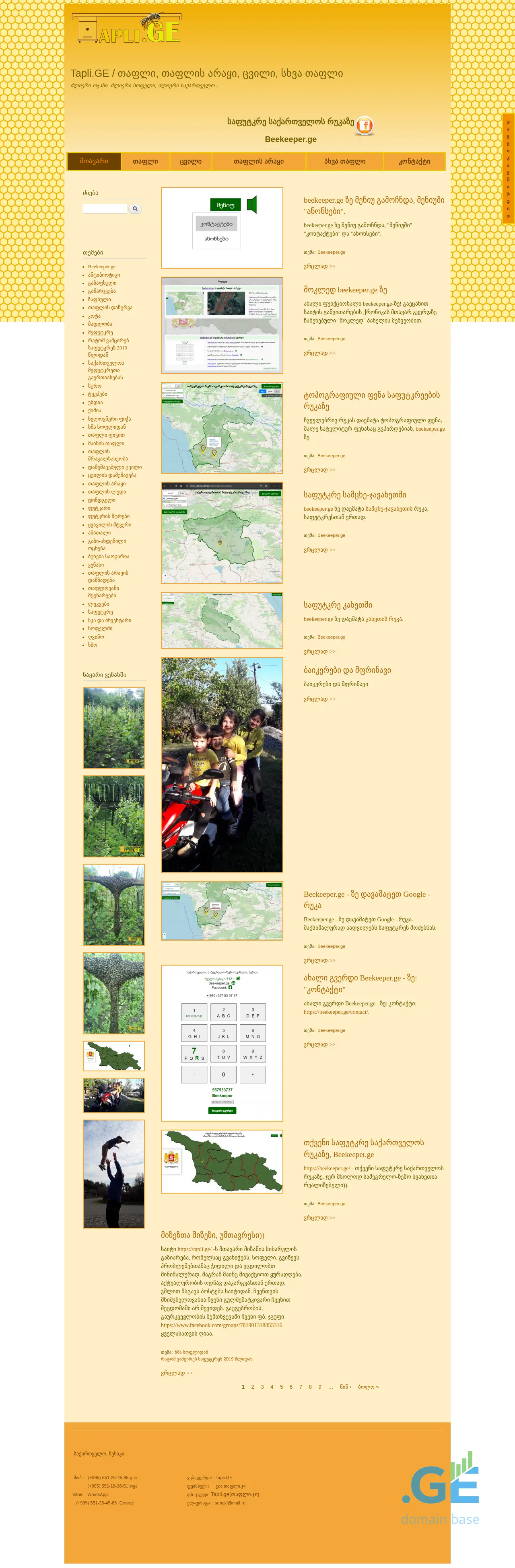 Screenshot of the site tapli.ge