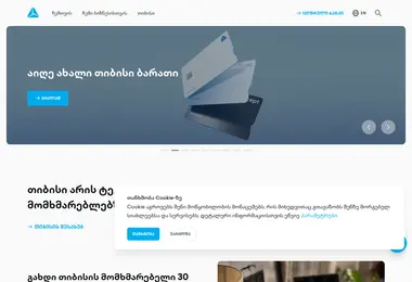 Screenshot of tbcstatus.ge