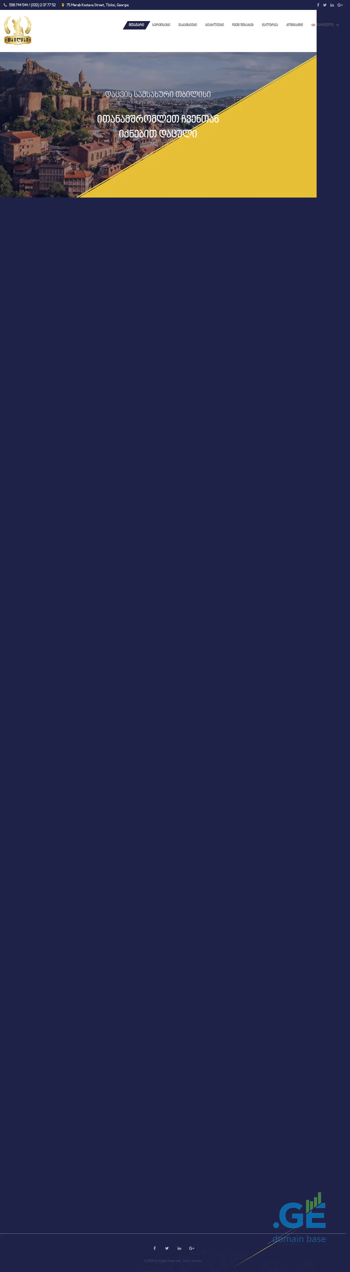 Screenshot of the site tbilisisecurity.ge