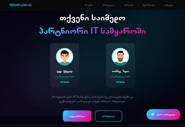 Screenshot of techflow.ge