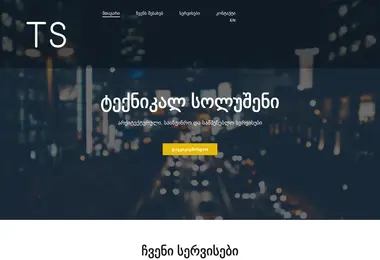 Screenshot of technicalsolution.ge