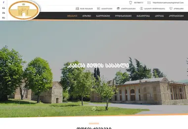 Screenshot of telavisistoriulimuzeumi.ge