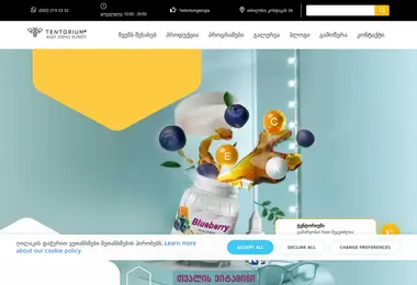 Screenshot of tentorium.ge