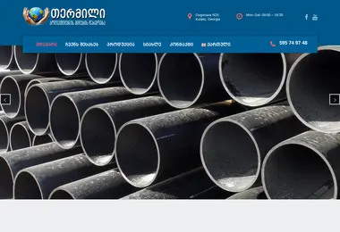 Screenshot of termili.ge