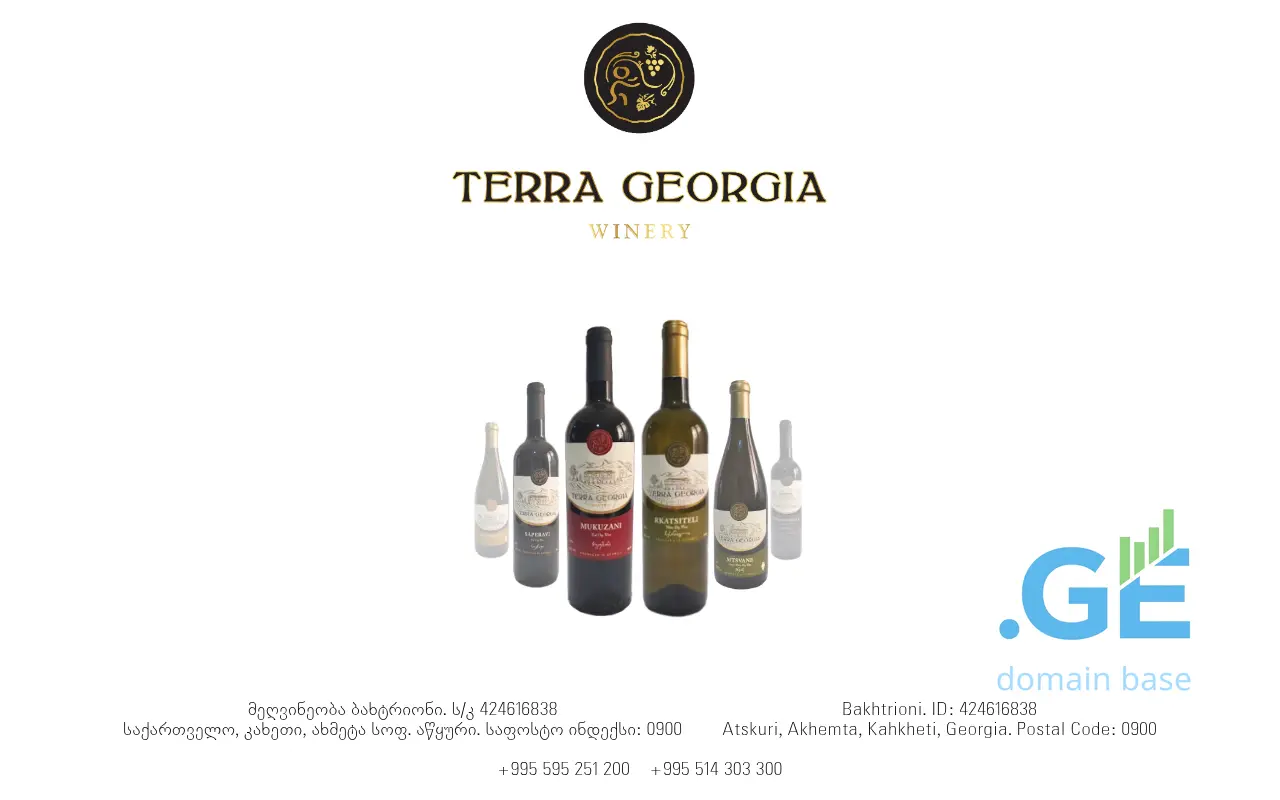 Screenshot of the site terrageorgia.ge