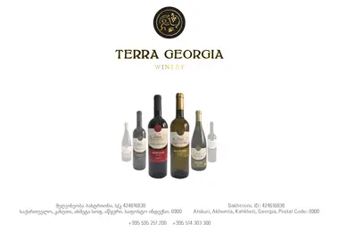 Screenshot of terrageorgia.ge