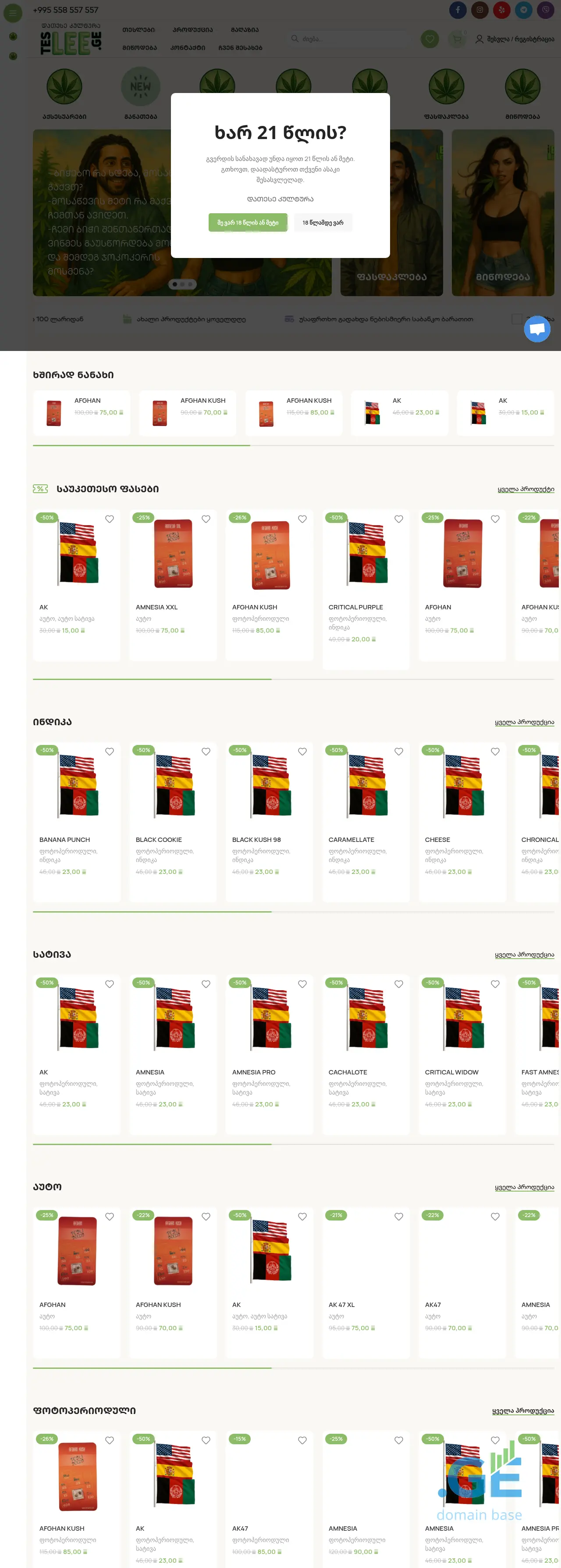 Screenshot of the site teslee.ge