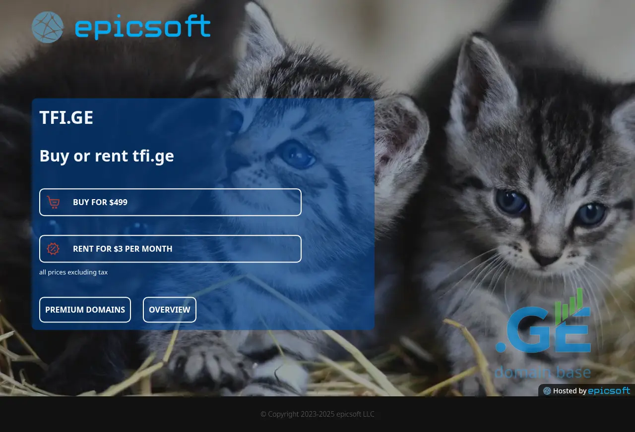 Screenshot of the site tfi.ge
