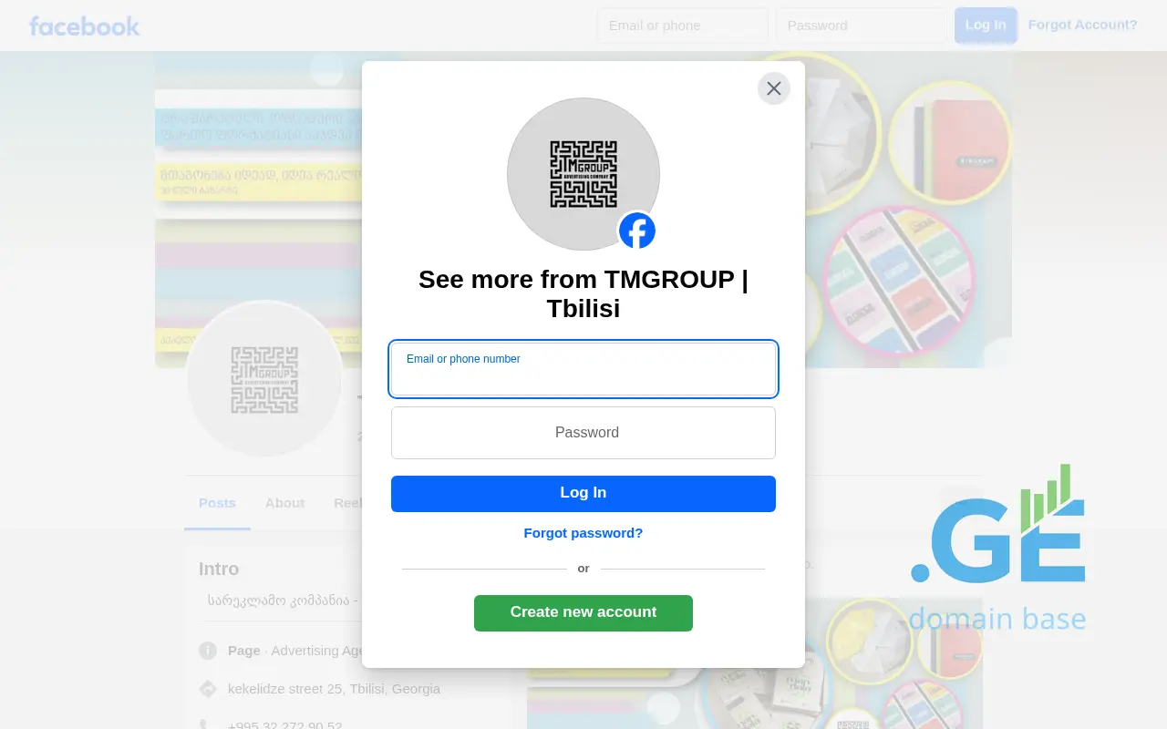 Screenshot of the site tmgroup.ge
