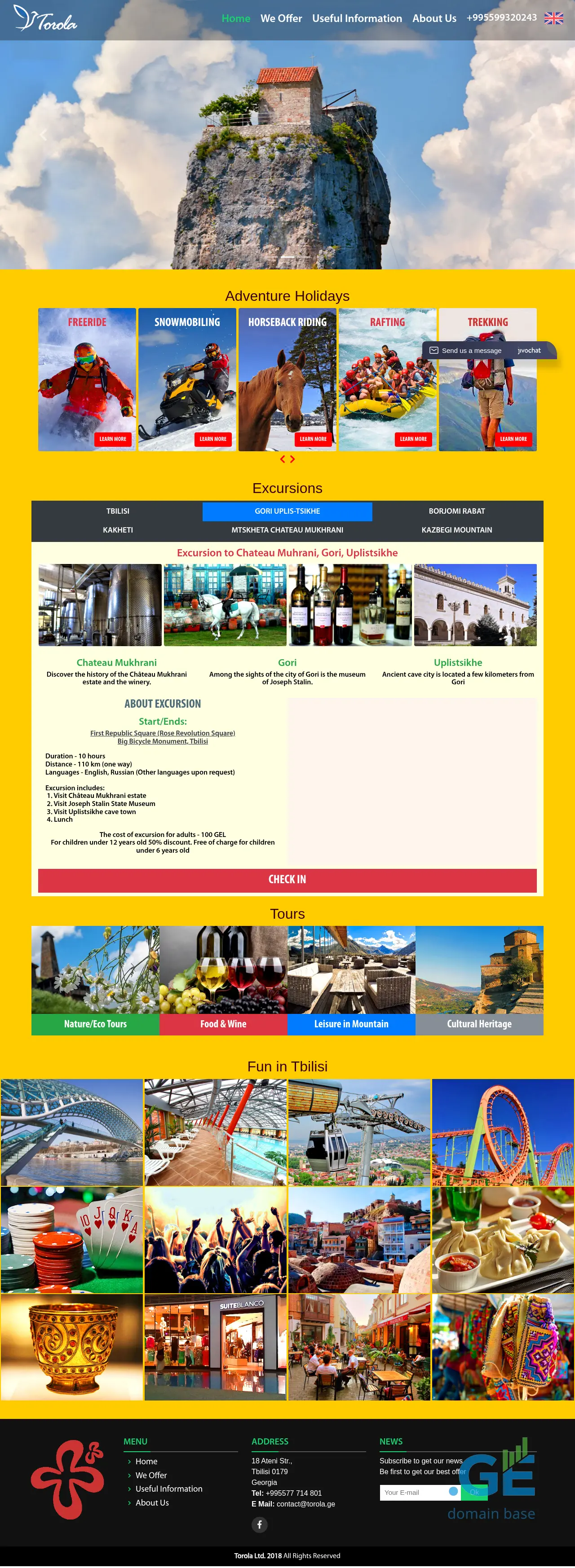 Screenshot of the site torola.ge