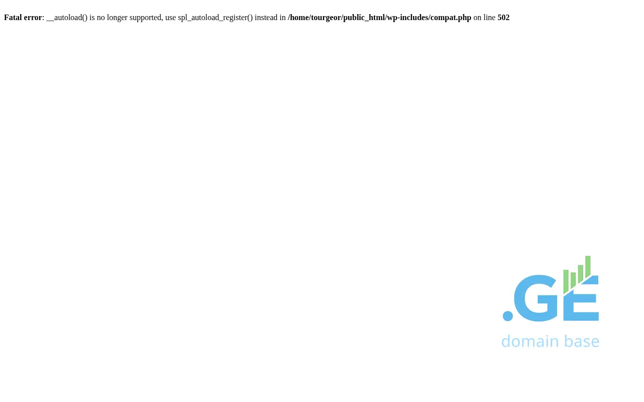 Screenshot of the site tourgeorgia.ge