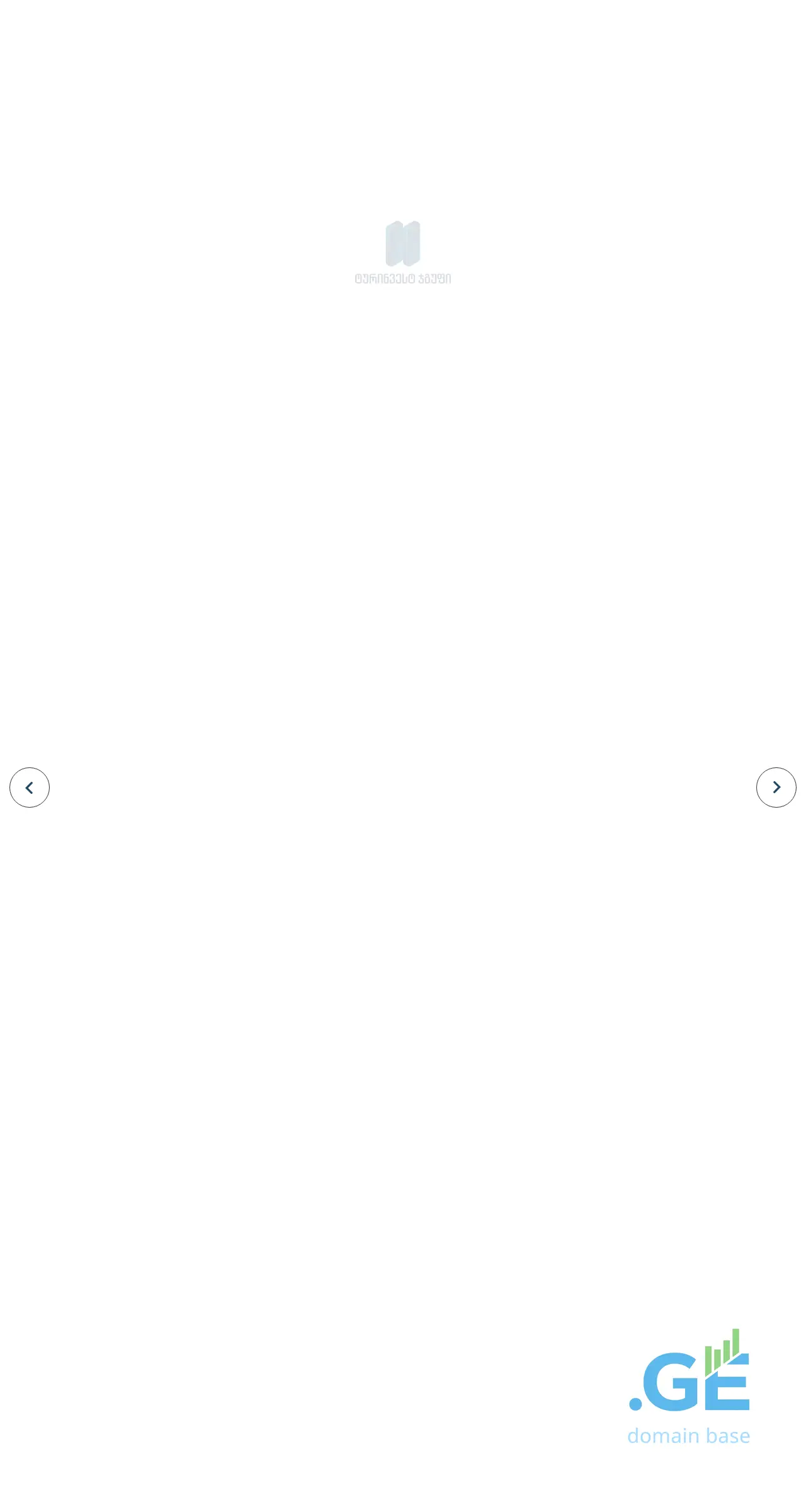 Screenshot of the site tourinvest.ge