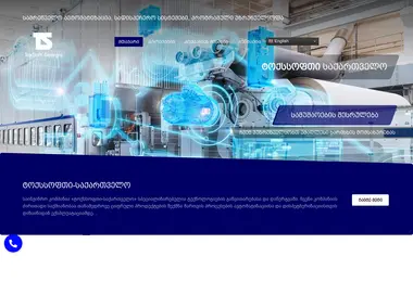 Screenshot of toxsoft.ge