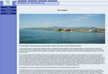 Screenshot of transflot.ge