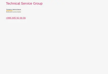 Screenshot of tsg.com.ge