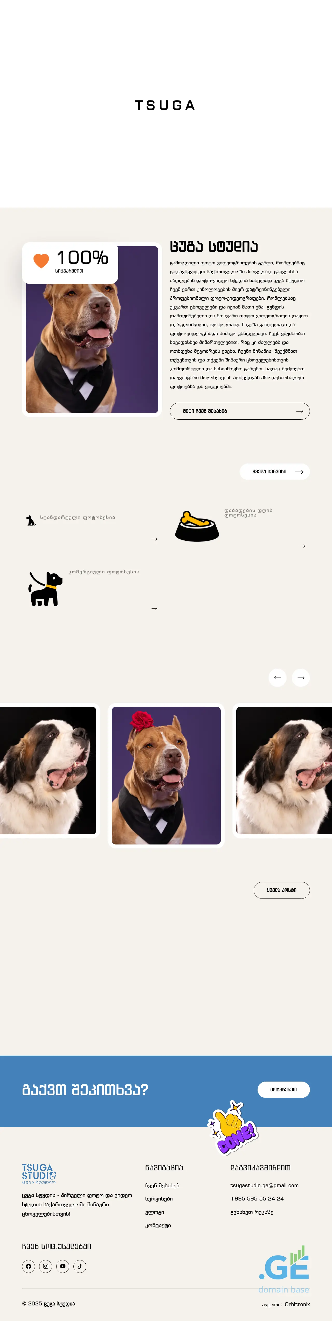 Screenshot of the site tsugastudio.ge