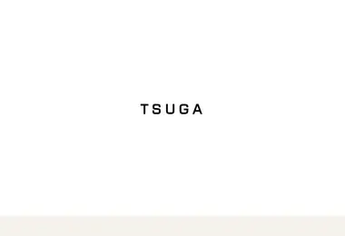 Screenshot of tsugastudio.ge
