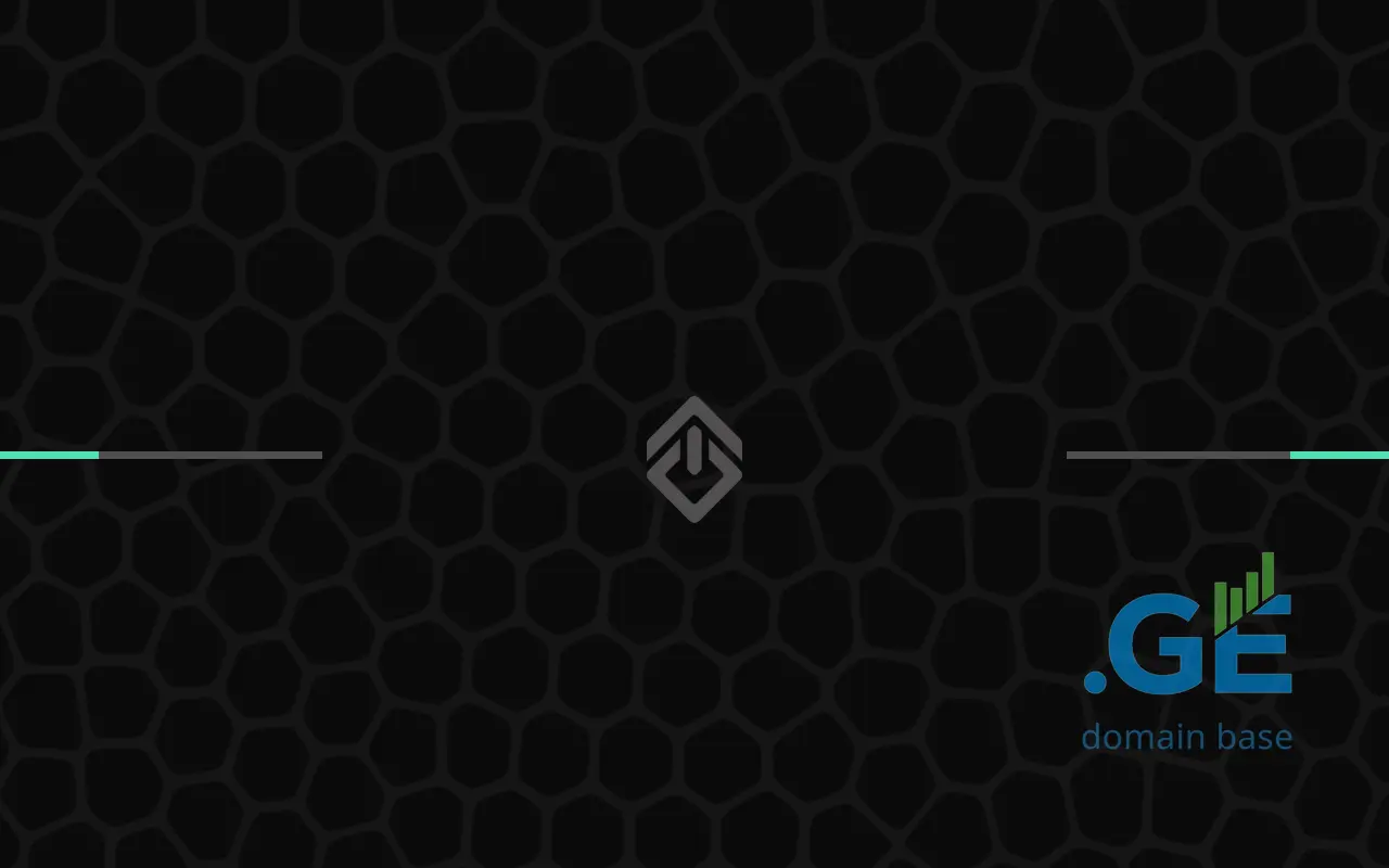 Screenshot of the site twini.ge