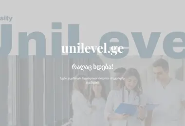 Screenshot of unilevel.ge