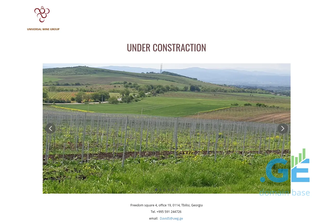 Screenshot of the site uwg.ge