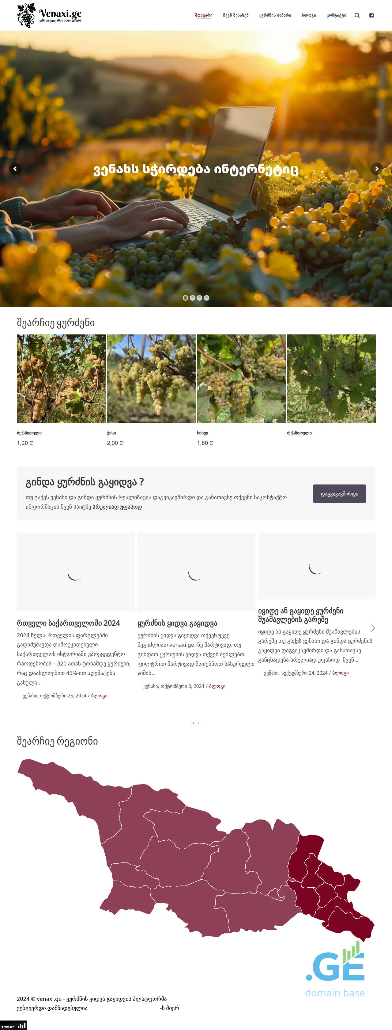 Screenshot of the site venaxi.ge