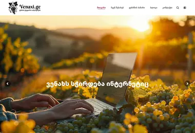 Screenshot of venaxi.ge