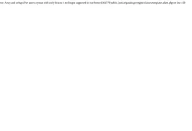 Screenshot of vipaudit.ge