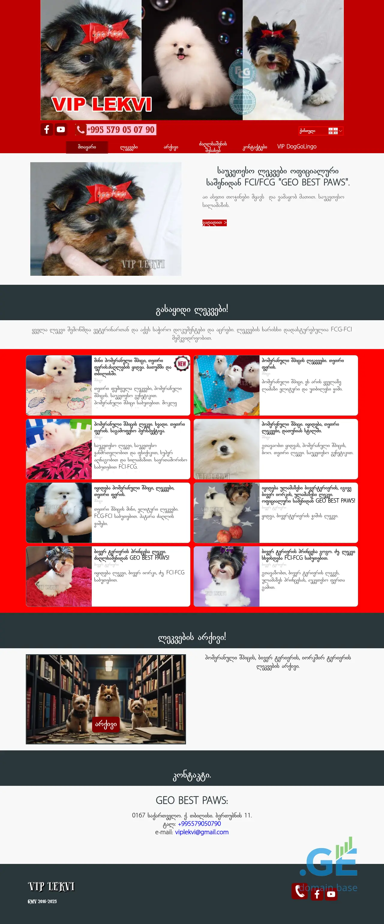 Screenshot of the site viplekvi.ge