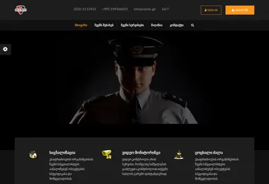 Screenshot of vipsecurity.ge