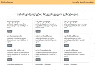 Screenshot of vision.ge