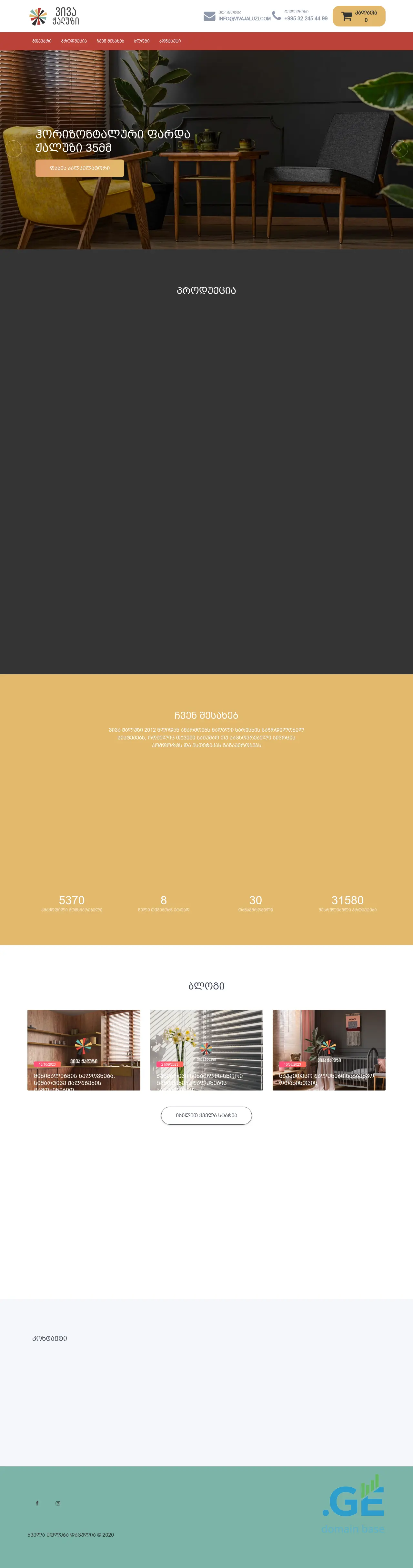 Screenshot of the site vivajaluzi.ge