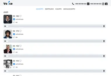 Screenshot of voiceover.ge