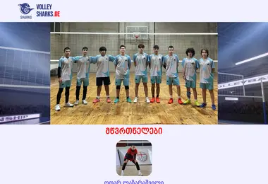 Screenshot of volleysharks.ge