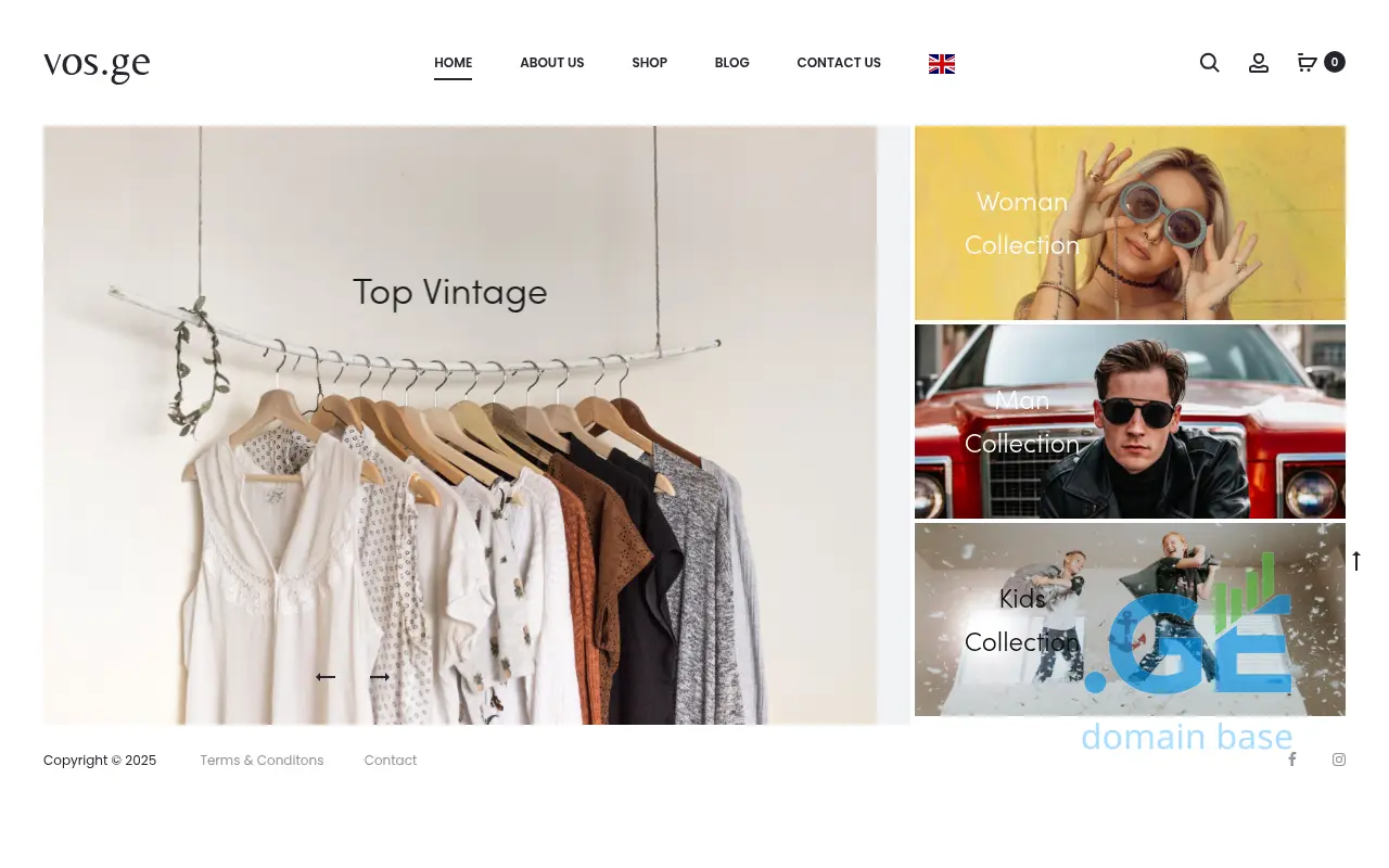 Screenshot of the site vos.ge