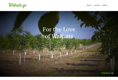 Screenshot of walnuts.ge