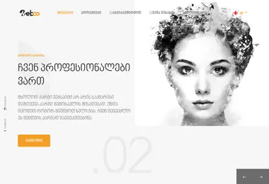 Screenshot of webco.ge