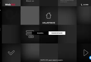 Screenshot of webtec.ge