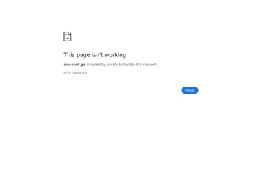 Screenshot of wesolvit.ge