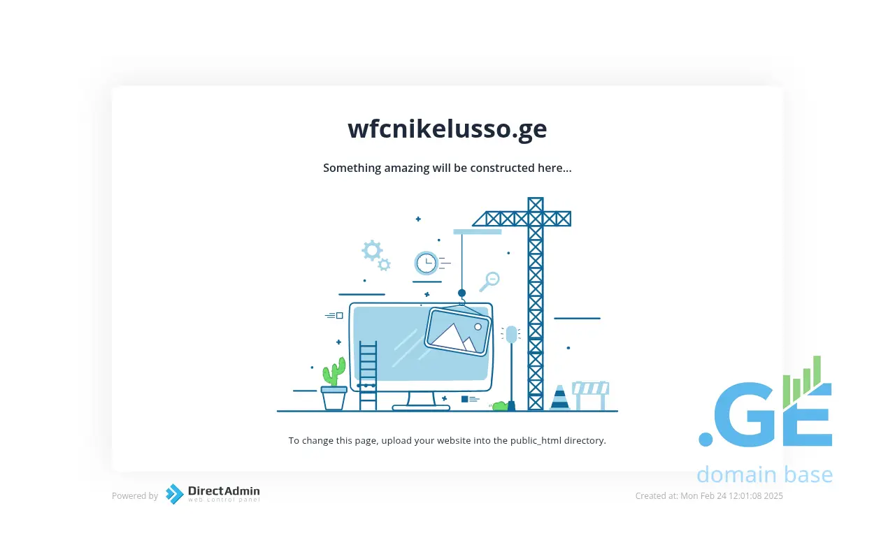 Screenshot of the site wfcnikelusso.ge